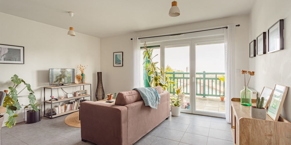 appartement à ST PIERRE D IRUBE (64990)